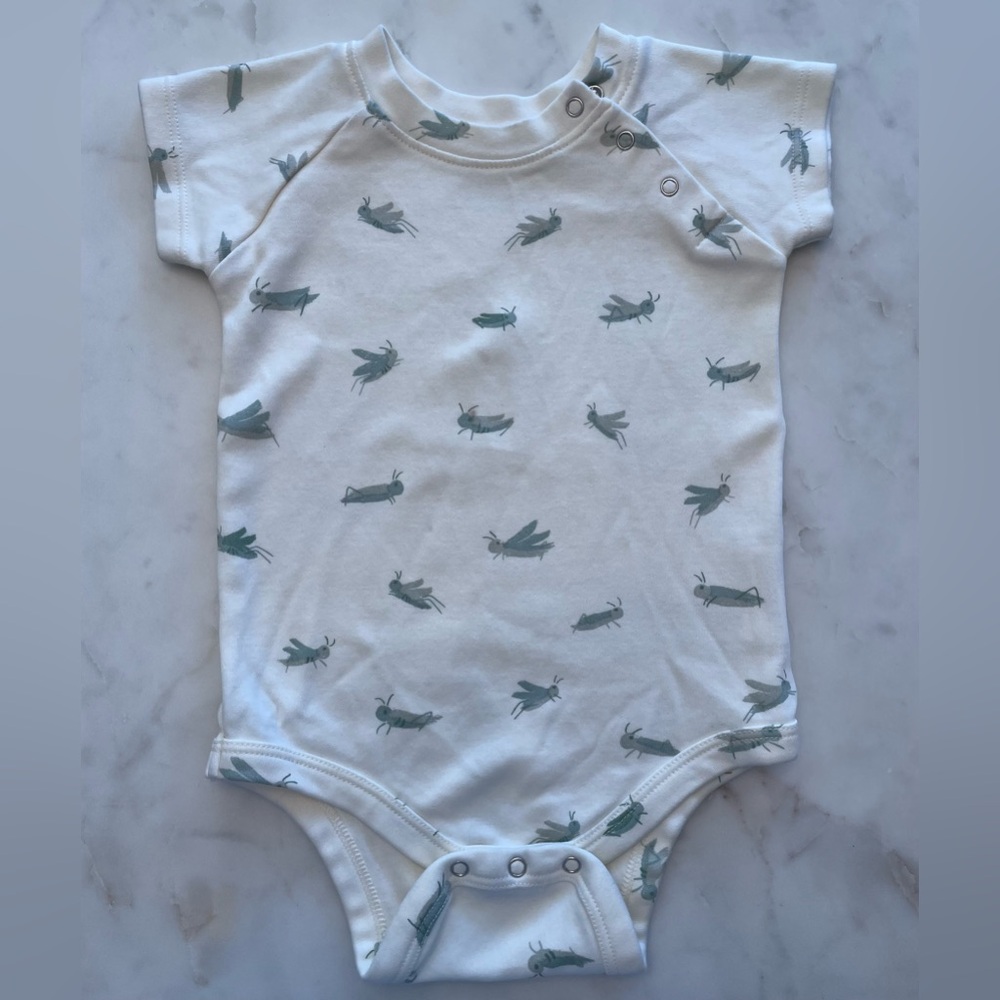Pehr Bodysuit (12-18 M)